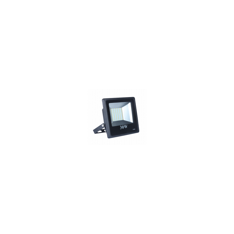 PROMAX LED FLOOD 30W 6500K ALU HOUSING PROMAX LED FLOOD 30W 6500K ALU HOUSING