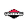 Briggs & Stratton